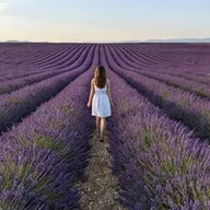 Photo de profil de Claire W.