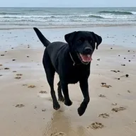 Photo de profil de Émilie F.